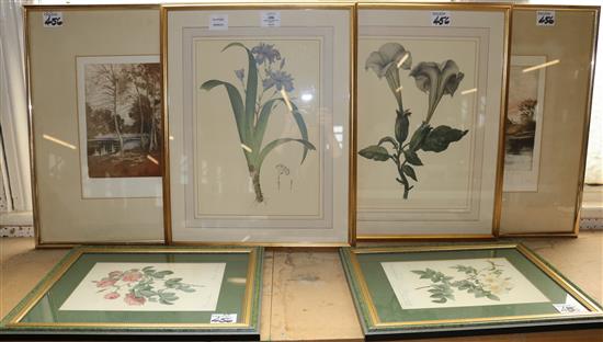 6 various etchings and prints
